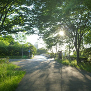P1320075