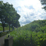 P1330046