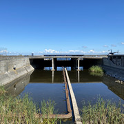 IMG-1353