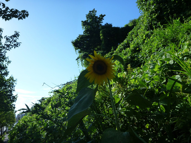 P1340177.jpg