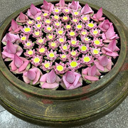 IMG-1927