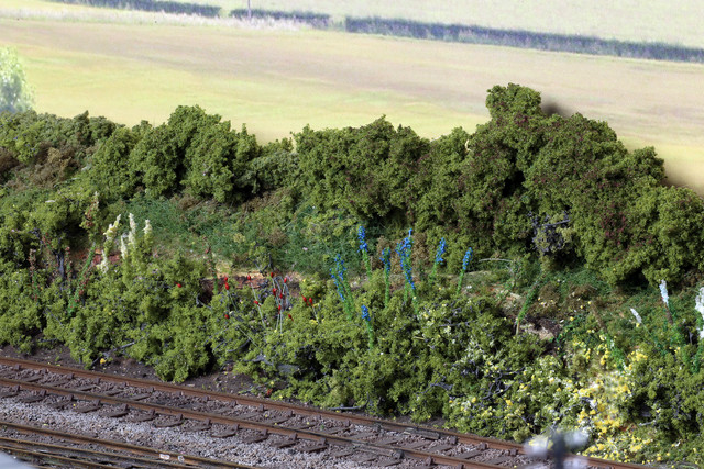 Linside plants 2