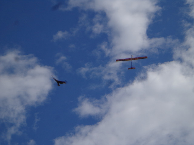 DSC00697.jpg