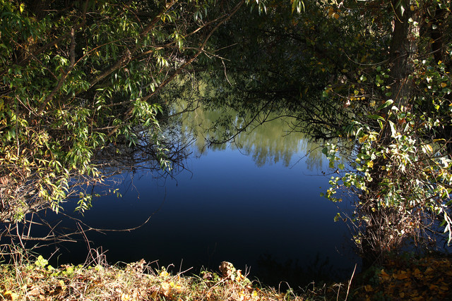 100c0100207m
