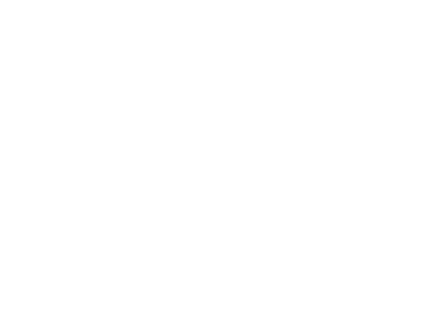 stars3