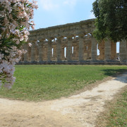 IMG-9109