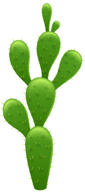 Cactus-Transparent-PNG-Clip-Art-Image