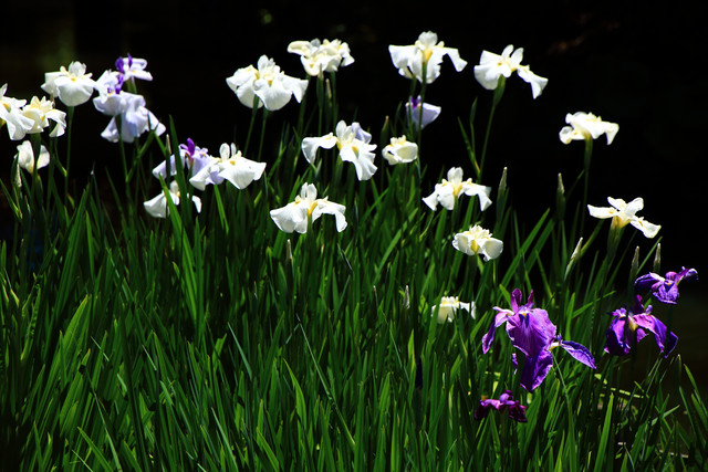 201506042204248f7