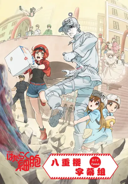 hataraku-saibou