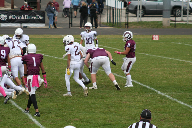IMG-0091.jpg