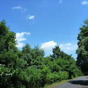 P1330900