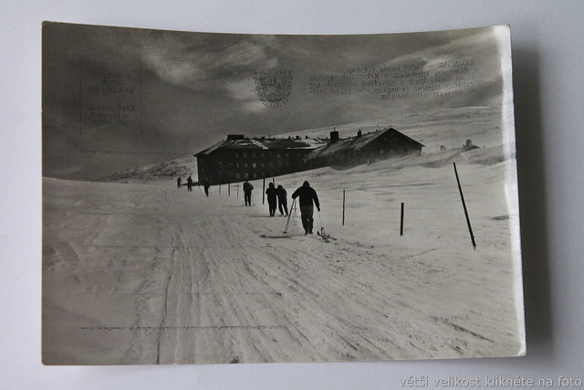 IMG-6477