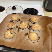 IMG-1120