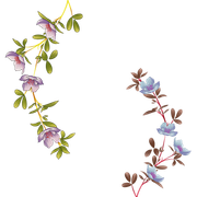184