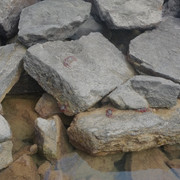 DSCF8632
