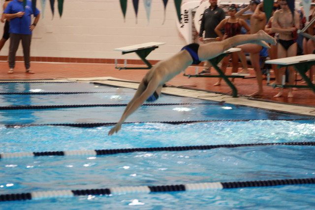 IMG-0295