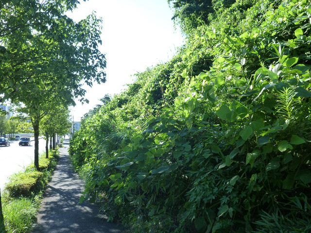 P1340179.jpg