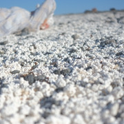 DSCF8482