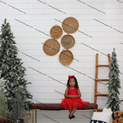 IMG-4643