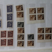 IMG-2102