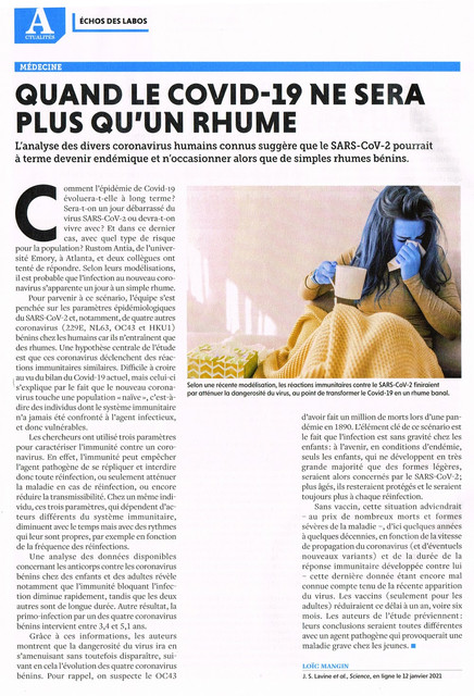 https://i.ibb.co/SvxLWmH/Sans-titre-6.jpg