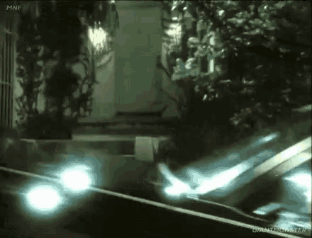 IMG-1297.gif