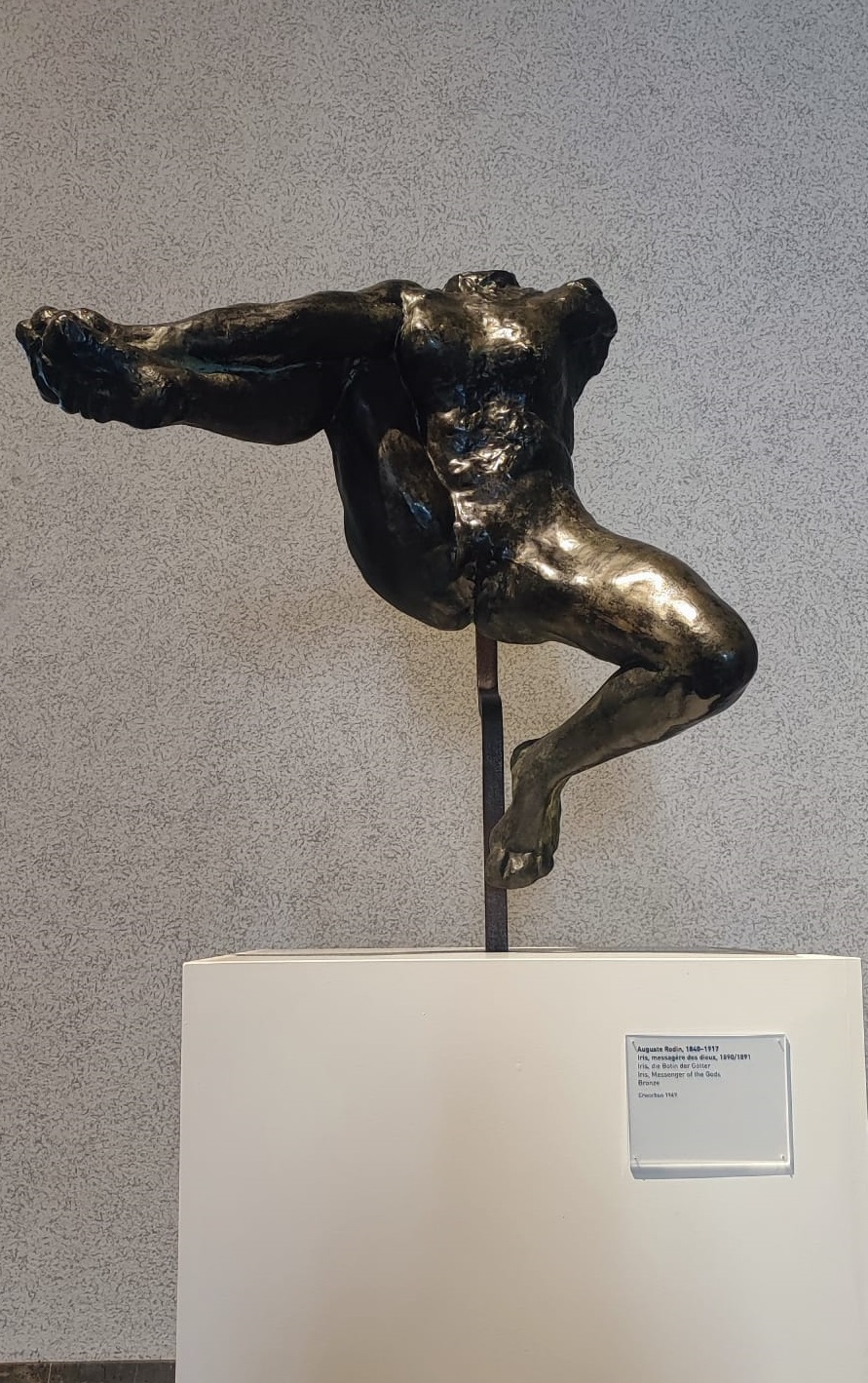 Iris-de-Rodin.jpg