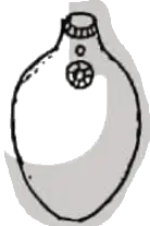 প্রশ্নের চিত্র
