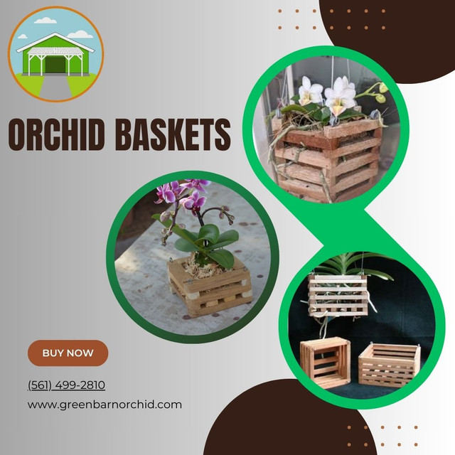 Orchid Baskets from Green Barn combine practicality and aesthetic charm, providing orchid growers with an excellent alternative to traditional pots. At Green Barn, Orchid Supplies offers gardeners a selection of orchid baskets which include Mahogany Wood Vanda Baskets, Teak Wood Baskets and Plastic Vanda Baskets to meet specific requirements. The garden setup receives visual enhancement from Orchid baskets which serve as instruments that promote better plant development and increased flower production. Visit our website for more information.