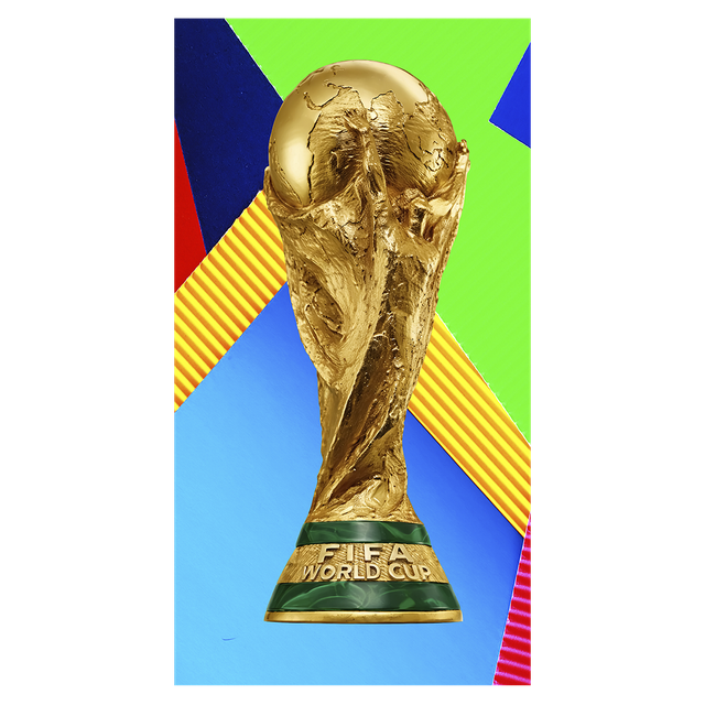 306629 Copa Brasil