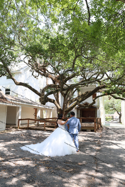 IMG 2613