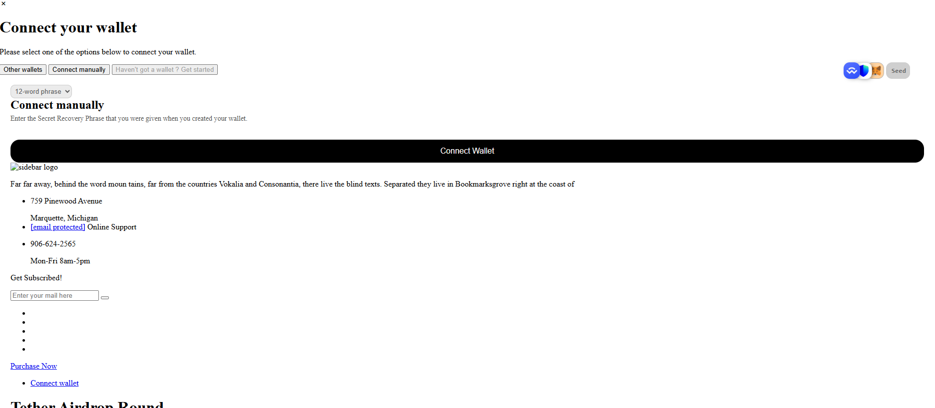 Forensic screenshot of [REDACTED] showing the phishing page layout