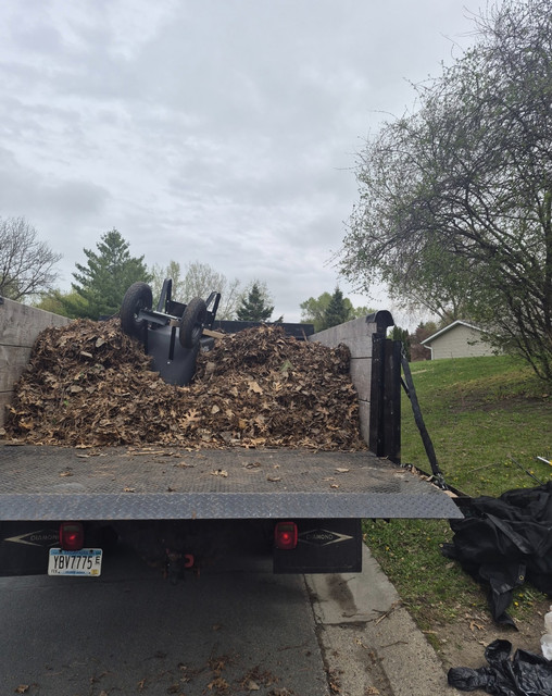 Debris removal