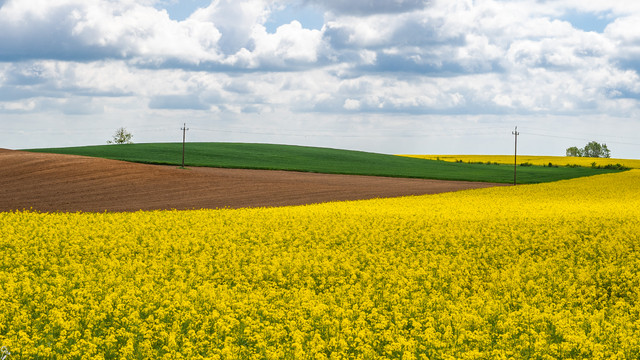 podlasie2 d1 08.jpg