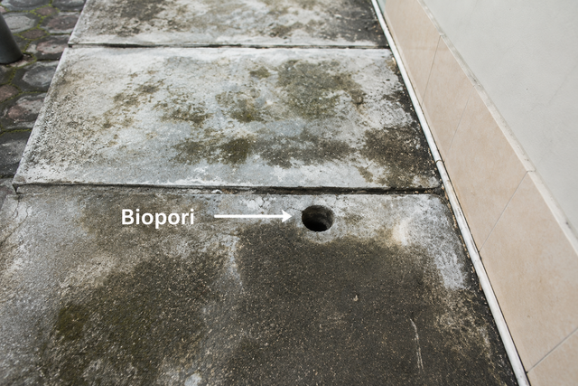 BIOPORI