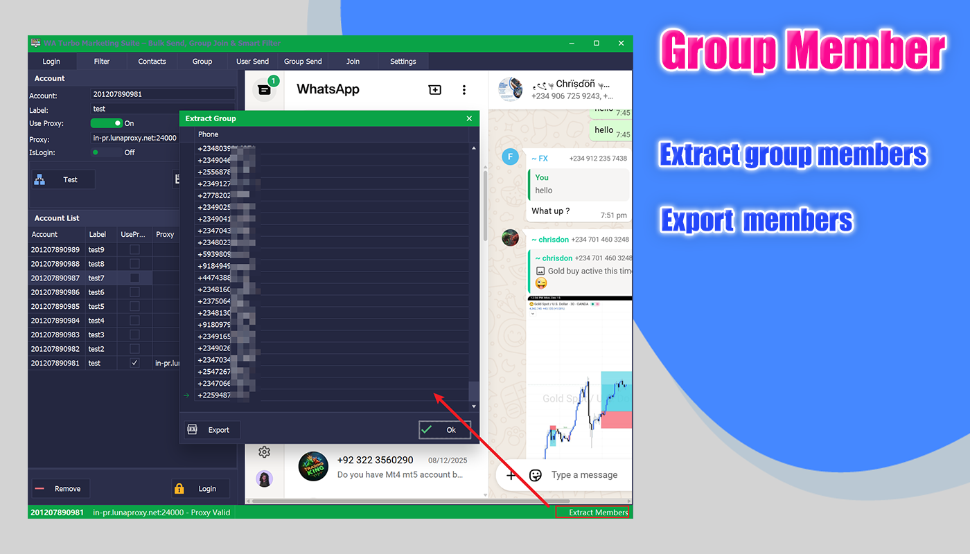 WhatsApp bulk message sending queue system