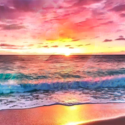 beaches