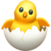 hatching-chick-1f423