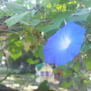 20170924 103606