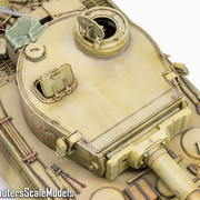 Afrika Tiger 133