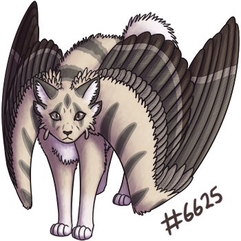 Pet Image