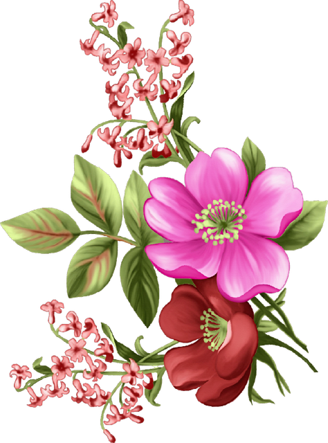 b19ba4adfae97a025258a24927b782da.png