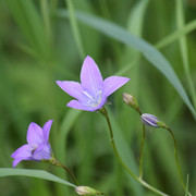 DSC-0209