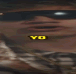 IMG 6134.gif