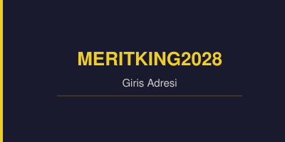 Meritking2028
