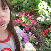 IMG 0207