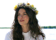 68Untitled 5.gif