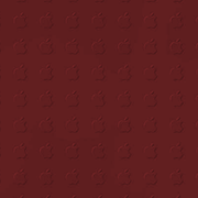 IMG-20191212-071809-2