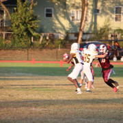 IMG-1431