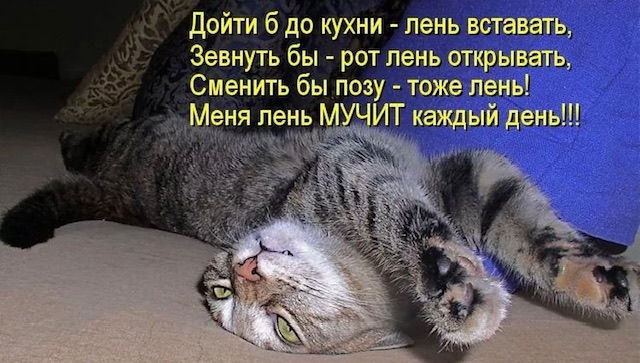 https://i.ibb.co/SwTmtL3L/IMG-1014.jpg
